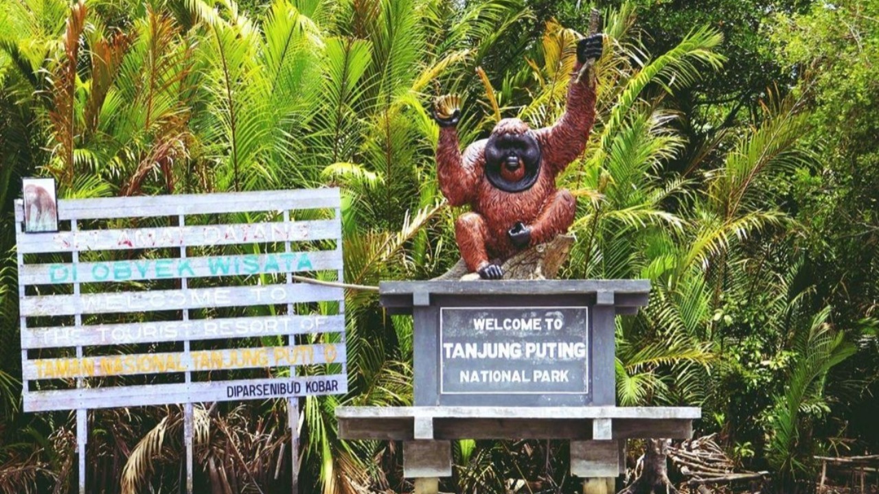 Taman Nasional Tanjung Puting